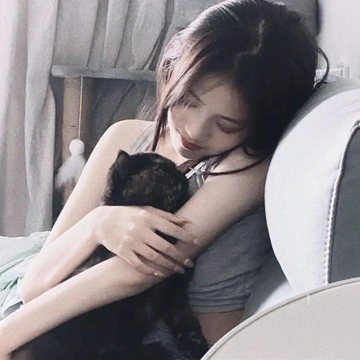 百科全说