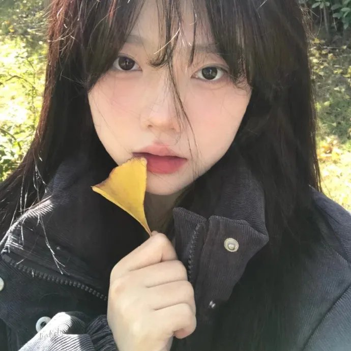 风临樱花开
